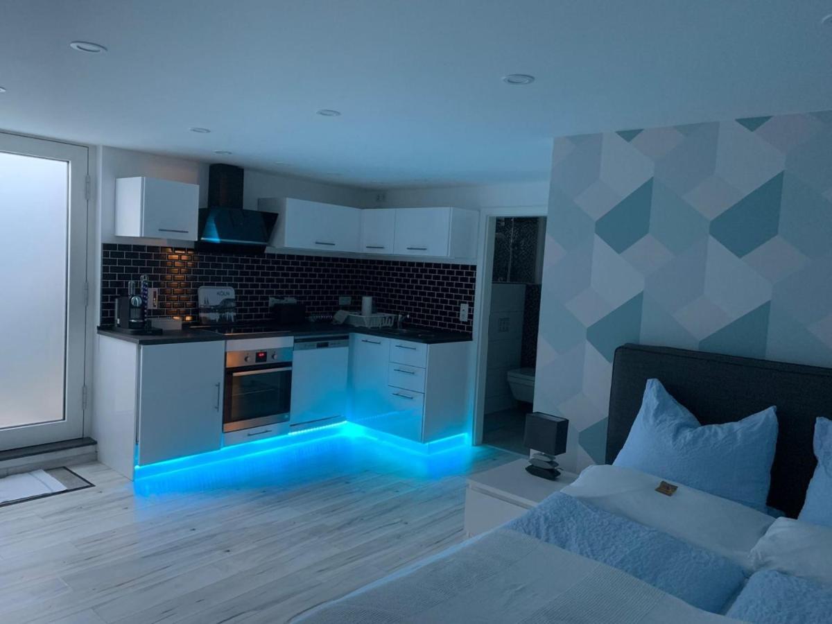 Modern Renovated Apartment Suited For Business Consultants - In Close Distance To Dt, Dhl And Un Campus - Reserved Parking Бонн Екстер'єр фото